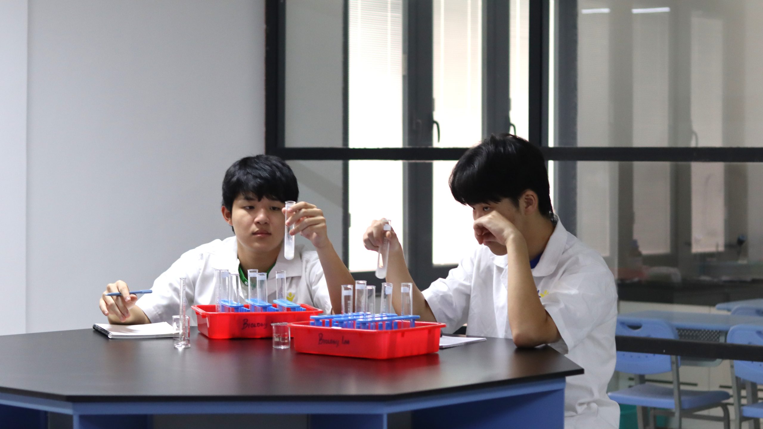 Collaborative learning activity